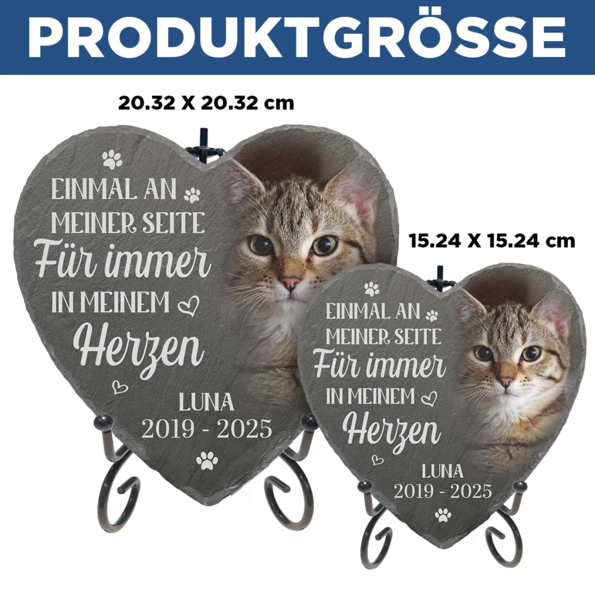 Vorschaubild 5
